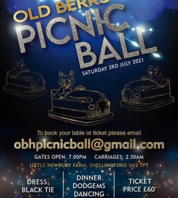 Picnic Ball