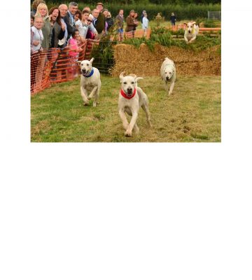 hound-racing-photo-page0001