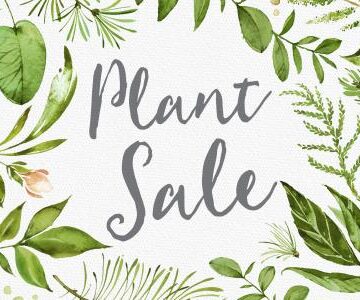 Wedge_PlantSale_WebTile_800x600-dfecd360